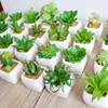 Mini Artificial Green Plants With Ceramic Pot PVC Bonsai Potted Landscape Succulent & Cactus For Office Home Decoration Decorative Flowers W