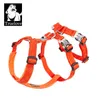 TRUELOVE Harnais pour animaux de compagnie Double-H Nylon Harnais de chien personnalisé sans traction réfléchissant respirant réglable YH1803 210712