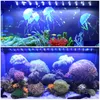 LED Aquarium Light Full Spectrum Freshwater Fish Tain Board Marine 24 36 48 черная поверхность