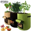 Jardinières Pots Pomme De Terre Tomate Plantation Légumes Cultiver Sac Conteneur Jardinière Patio Jardin Plante 3 Couleurs