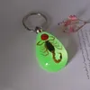 Lysande Scorpion Keychain - Ny Lysande Produkt Real Crab och Scorpion Key Chain Bag Car Key Ring # 17067 G1019