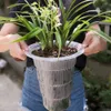 Meshpot dubbele wanden Uitstekende drainagegat orchideepot met wortelregelaar plastic bloemplanter 2104011993420