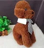 Pet Tie Collars Gestreepte Leuke Kleuren Hond Kat Stropdas Kleding Decoratie Huisdieren Harnas Levert Pak Klein Groot Puppy