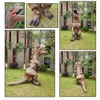 Maskotki kostiumesadult Dinozaurów Kostiumy Halloween Dragon z Wing Blow Up T-Rex Role Play Mascot Disfraz Kobiet Manmascot