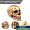 Halloween Skull Realistic Looking Skull Human Skeleton Skull Resin Model Resin Model Halloween Party Supplies Factory price expert design