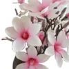 12 pezzi di simulazione fiore di seta di magnolia a 3 teste per la decorazione domestica composizione floreale orchidea fiori finti matrimonio strada piombo decorazioni da tavola