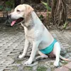 Pannolini di abbigliamento per cani cortometraggi fisiologici per animali domestici lavabili sanitarie bianche e morbide biancheria di pancia maschile per cani dog