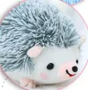 12cm brinquedo de pelúcia fabricante personalizado hedgehog saco pingente pingente boneca boneca boneca para crianças brinquedos infantis presentes 746 x2