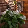 급수 장비 귀여운 자동 꽃 장치 유리 자조 스테이크 식물 물 관개 물 글로브 HKS99