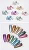 Серо -серебряный металлический цвет Set12 Colors Nail Art Gel Gelpolish Gliter Paint Paint Gel Ket набор