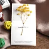 꽃 인사말 카드 gypsophila 말린 꽃 필기 축복 생일 선물 카드 결혼식 초대 sn298