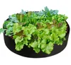 植物のベッドガーデンフラワープランター上昇野菜箱の植栽袋の丸い鍋の丸い鍋