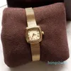 Petite montre de luxe rétro légère, Champagne or quartz, montres japonaises carrées pour femmes
