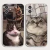 Animal chaton et chiot étuis de téléphone portable pour 13, 12 coque souple en TPU transparent 8 XS 11