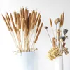 Real Wheat Decoration Natural Pampas Rabbit Tail Grass Dried Flowers For Wedding Party DIY Craft Typha Lagurus ovatus Phragmites Y0630