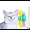 Dostarczanie zwierząt domowych dostawa ogrodu 2021 Windmill dla kotów Puzzle Whirling Gra Gra Cat Turntable Drocząc interaktywne zabawki z MAS SCR