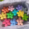 Elegant Hair Claws Clip Party Gunst Big Flower Designer Haarspeler Koreaanse sterke houder Barrettes Dames Girls paardenstaart Haarspelden Fashion Hairgrip 23 kleuren