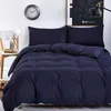 Beddengoed sets eenvoudige kleur meer blauw gestreept laken duver quilt cover kussensloop zachte zilveren grijze koning koningin full twin 210706