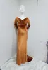 Бердиторские платья Золотая бархатная длинная юбка беременная женская фотография ягодицы обернутое платье