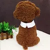 Striped Cat Dog Bow Tie animal Bowtie Collar Pet pescoço ajustável Laço XY526 casamento branco Coleiras Dogs gravata para o partido