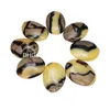 FreeForm Cilalı Madagaskar Dragon Septarian Geode Kristal Taş Sanatlar Doğal Septarium Nodule Kaplumbağa Kabuk Gemstone Palmiye Taşları Anksiyete Stres Rölyef için