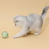 Игрушки для игрушек кошка игрушка красочные бумаги дразнить укус укусом светлый котенок продукция питомца бросает