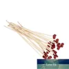 Ev 20 ADET Doğal Kırmızı Kalp Reed Aroma Difüzör Değiştirme Sticks Ahşap Rattan Parfüm Uçukları Dekorasyon için