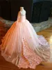 Pink Girl Flower Dresses Gorgeous Pageant Dress For Wedding 3D Floral Appliqued Lace Long Sleeve Applique Tulle Sweep Train Birthday Gown