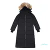 アウターコート女性冬ダウンジャケット爆撃機のジャケット厚いオオカミの毛皮のふわふわフード付きコート屋外の古典的な女性ウィンドウ暖かいパーカー