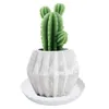 Planters & Pots 20 Pcs Wave Plant Saucer Flower Pot Drip Trays/Durable Heavy Duty White Tray For Indoor And Outdoor 19.5cm