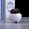 Blomma Pot Planters White Elephant Ceramic Pote de Vidro till salu Garden Pots Flower Vasi Macetas Pot Fleur Bonsai Pots 210409