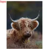 Fullständig fyrkantig runda borr DIY Diamond Målning Animal Highland Cow Bild 3D Broderi Korsstygn 5D Mosaic Home Dekoration
