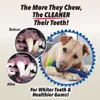 Chewbrush Stick Pet Molar Toy New Dog Toothbrush 1194 V2