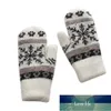 Mode Dame Hiver Chaud Mitaines Femmes Tricoté Flocon De Neige De Noël Plus Velours Épais Conduite Coupe-Vent Doigt Complet Gants H52 Prix usine conception experte Qualité