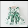 Aile Rabbit The Han Edition Ribbon Bow Girl Dress Manufacturers Selling Ksxgt Girls Dresses Ty8Gn
