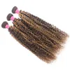 3 Bundles Double WeT P4 27 Destaque Curly Brazilian Human Human Weave Extensões 100g / PCs