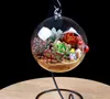 60mm Hanging Tealight Holder Glass Globus Terrarium Świecę Świece Uchwyty Świecznik Candlestick Wase Home Hotel Decoration Sn2758