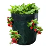 Jardinières Pots DIY Fraise Planteur PE Tissu Plantation Conteneur Sac Jardin Pot Légumes Culture Sacs Hydratant Vertical