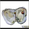 Pietre preziose sciolte Consegna goccia di gioielli 2021 Perle naturali tinte all'ingrosso All'interno Festa alla rinfusa Aperto a casa Ostriche di perle con confezione sottovuoto