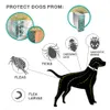 Pet Köpek Kedi Anti Pire Yaka Köpek Açık Ayarlanabilir Pet Yaka Kedi Aksesuarları 8 Ay Drop Shipping