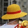 luffy cosplay sombrero