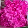 Dekorative Blumen Kränze 2G echte natürliche frisch erhaltene Hortensie-Köpfe, Trocken für immer Rose Ewige Hortensien, Schönheit Nail Art Abziehbilder je