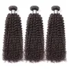 Rainha Nala Kinky Bundl Brazilian Curly Human Weave Extensões de cabelo para mulheres