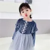 春の女の子パーティードレスロングパフスリーブベルベットアイスとスノープリンセスガール服E7048 210610