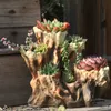 Amerikansk trasig rotform trä succulent harts blomma kruka utomhus balkong inredning hantverk trädgård villa ornament dekoration 210922