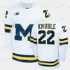 Michigan Wolverines Hockey Jersey Owen Power Nick Pastujov Griffin Luce Garrett Van Wyhe Jack Becker Nick Blankenburg Eric Ciccoli7712700