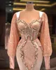 Plus Size Arabic Aso Ebi Luxurious Mermaid Sexy Prom Dresses Peach Pink Lace Beaded Long Sleeves Evening Formal Party Second Reception Gowns Dress