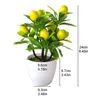 Dekorativa blommor kransar simulering träd krukväxter växter konstgjord växt i potten förmögenhet feng shui grönande ornament för hem o6124472