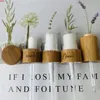 spray bottle lotion glass with bamboo cap cosmetic packaging Eco friendly wood pipette lidgoods