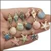 Event Festive Party Supplies Home GardenParty Decoration 15st Seashell Starfish Pendant DIY Craft Jewelry Beach Wedding Mermaid Baby Show